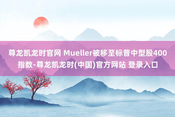尊龙凯龙时官网 Mueller被移至标普中型股400指数-尊龙凯龙时(中国)官方网站 登录入口