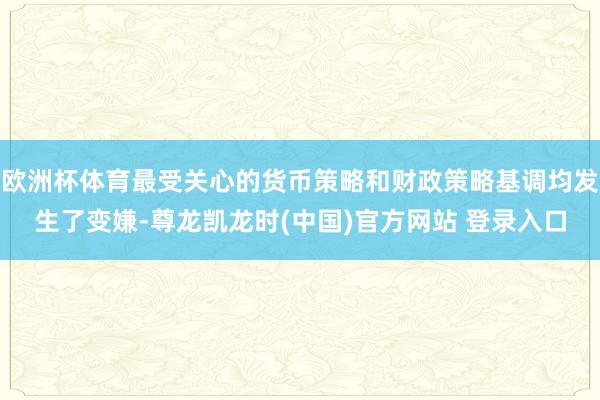 欧洲杯体育最受关心的货币策略和财政策略基调均发生了变嫌-尊龙凯龙时(中国)官方网站 登录入口