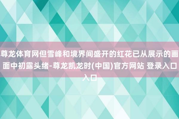 尊龙体育网但雪峰和境界间盛开的红花已从展示的画面中初露头绪-尊龙凯龙时(中国)官方网站 登录入口