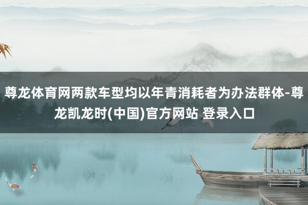 尊龙体育网两款车型均以年青消耗者为办法群体-尊龙凯龙时(中国)官方网站 登录入口