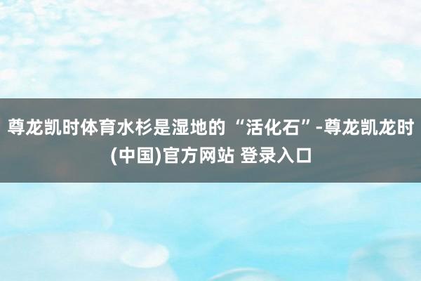 尊龙凯时体育水杉是湿地的 “活化石”-尊龙凯龙时(中国)官方网站 登录入口