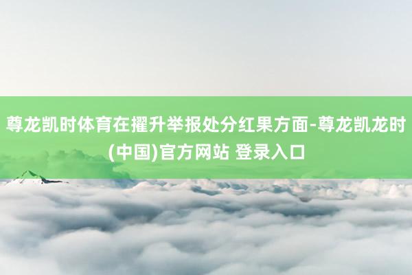 尊龙凯时体育在擢升举报处分红果方面-尊龙凯龙时(中国)官方网站 登录入口
