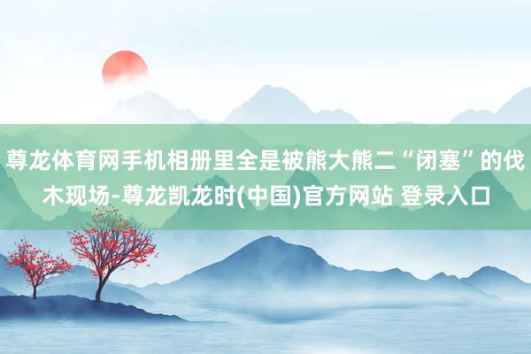 尊龙体育网手机相册里全是被熊大熊二“闭塞”的伐木现场-尊龙凯龙时(中国)官方网站 登录入口