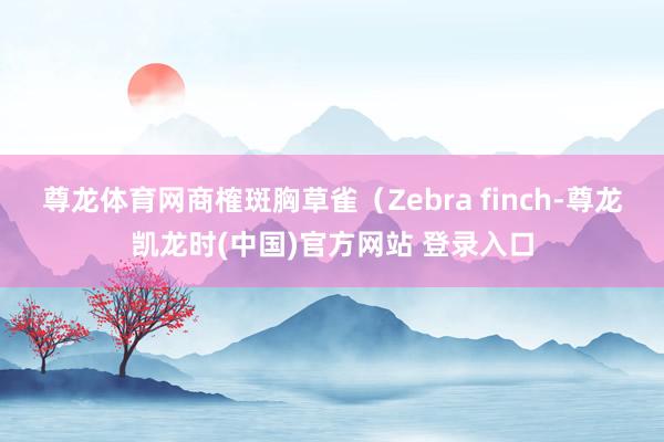 尊龙体育网商榷斑胸草雀(Zebra finch-尊龙凯龙时(中国)官方网站 登录入口