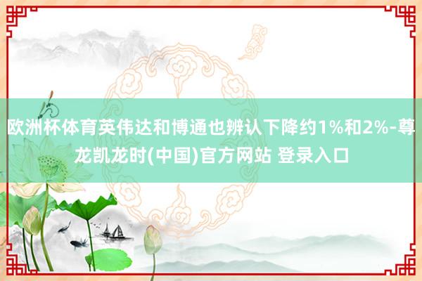 欧洲杯体育英伟达和博通也辨认下降约1%和2%-尊龙凯龙时(中国)官方网站 登录入口